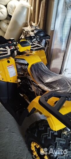 Motoland wild track 200 новый