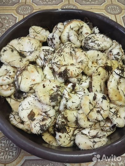 Грибы грузди сырые