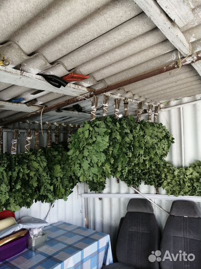 Веники для бани