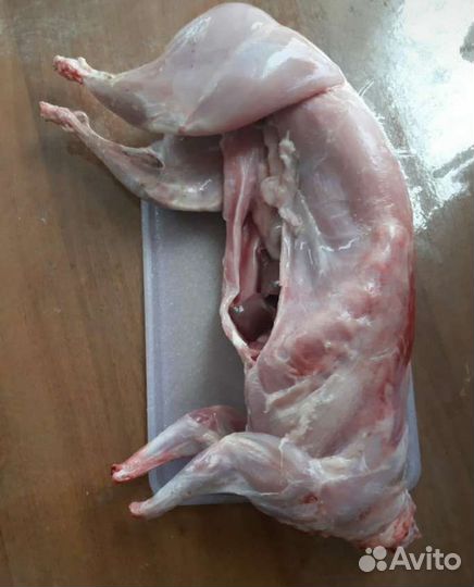 Мясо кролика