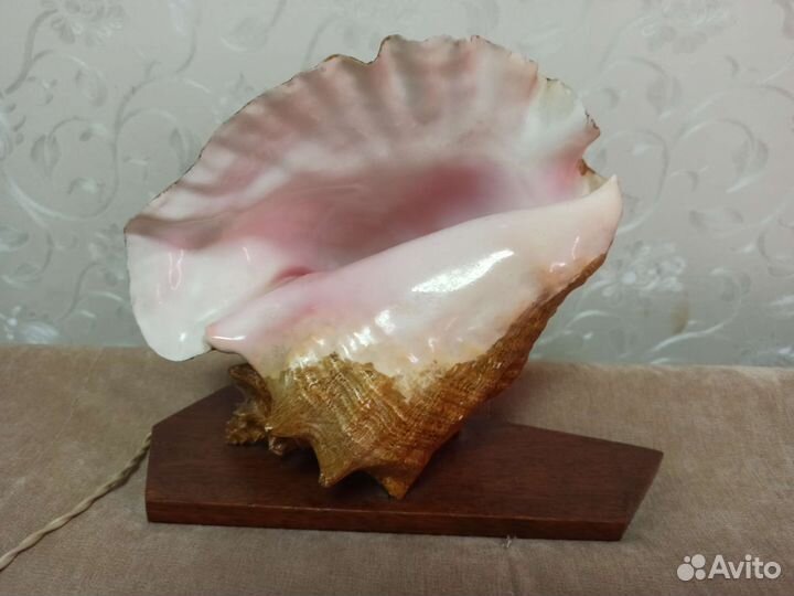 Светильник ночник раковина