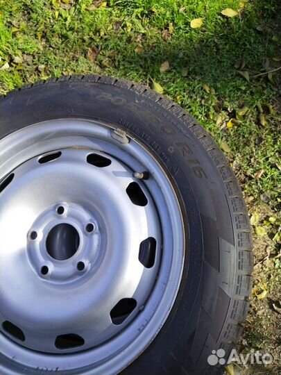 Pirelli Ice Zero FR 205/60 R16