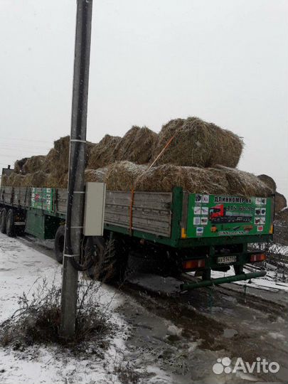 Грузоперевозки по России,городу и области