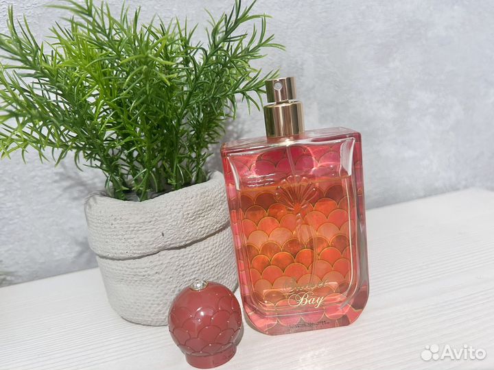 Lazure perfumes sunset Bay