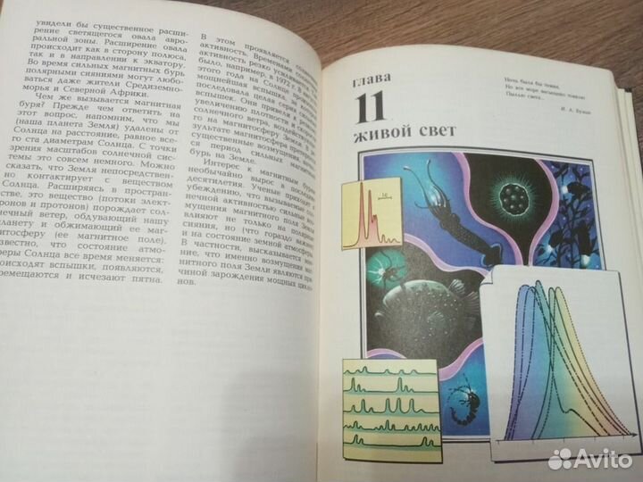 Физика в природе Л В. Тарасов