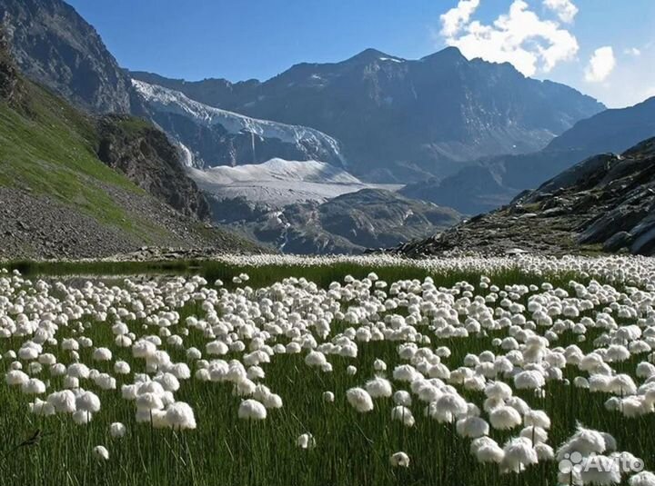 Эксклюзив-тур в Узбекистан 7 дн