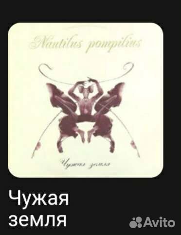 Сд диски Япония Наутилус