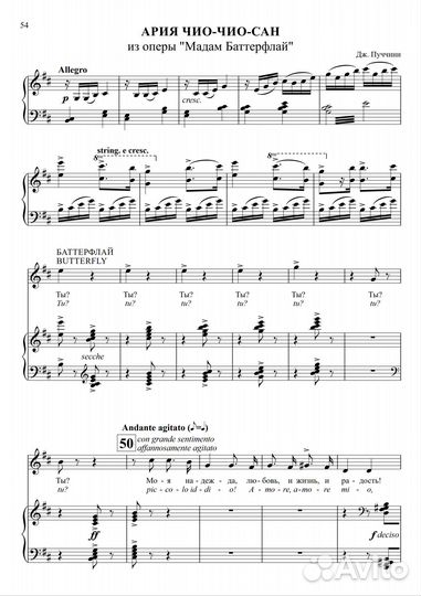 Профессиональный набор нот