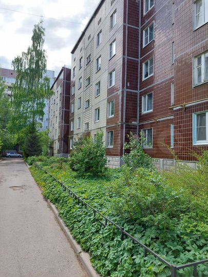 3-к. квартира, 77,7 м², 1/5 эт.
