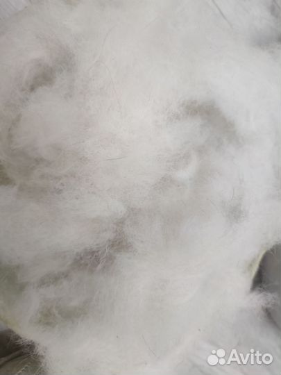 Собачья шерсть(подшёрсток, пух)