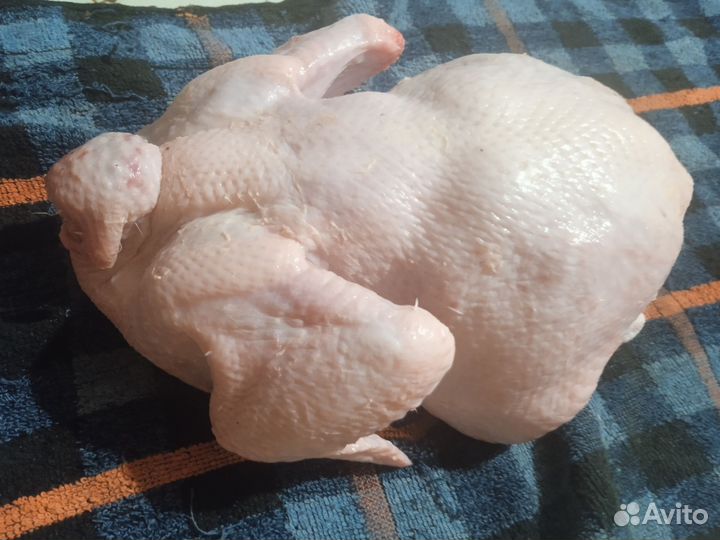 Мясо домашних цыплят