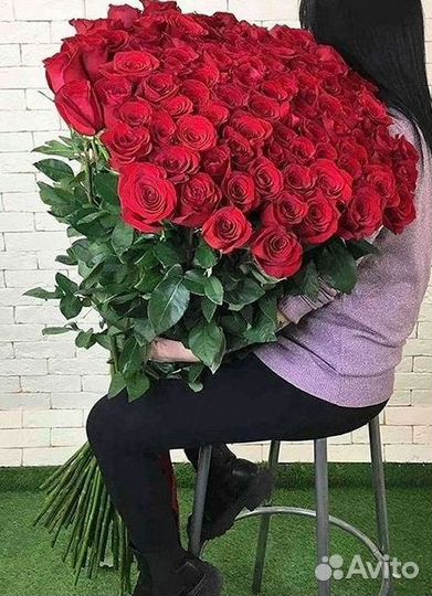 Розы Букеты Цветы Розы 31 101 151 201 Доставка