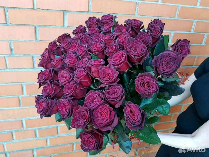 Продаём оптом цветы,экзотика, Эквадор,Армения,Гол