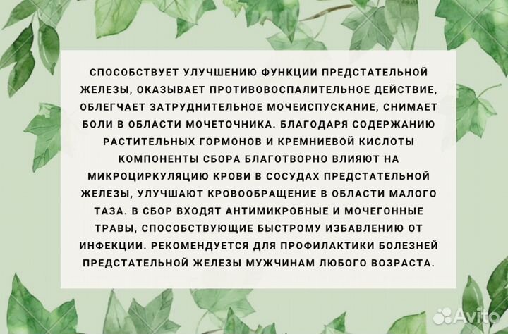 Средство от простатита