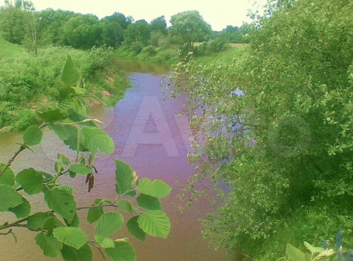 Участок 50 сот. (ИЖС)