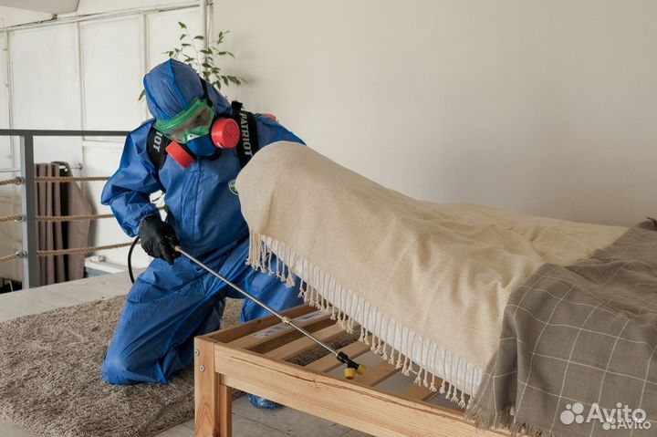 Обработка от насекомых холодным туманом