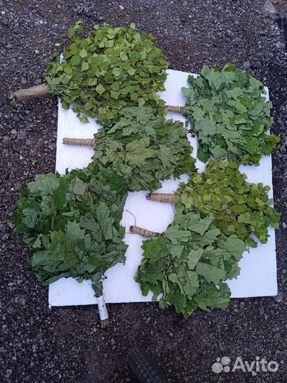 Веники для бани