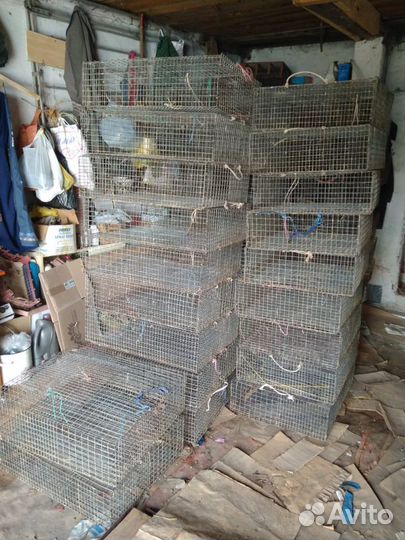 Клетка для с/х птицы