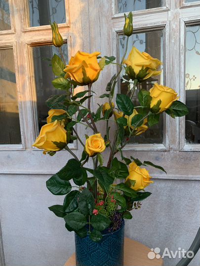 Розовый куст