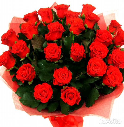 25 роз с доставкой