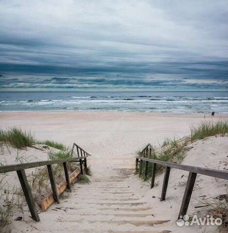 Индивидуальные экскурсии на куршскую косу