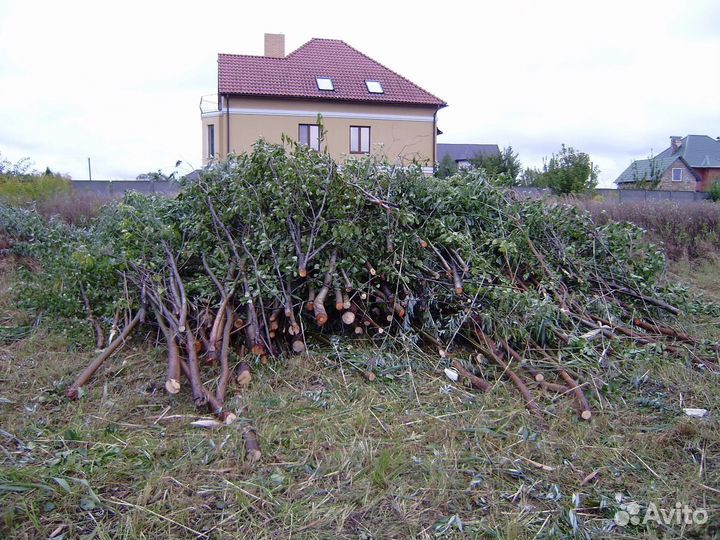 Чистка участка, благоустройство,планировка