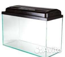 Аквариум, рыбки