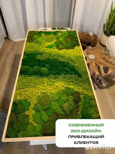 Озеленение интерьера Мох