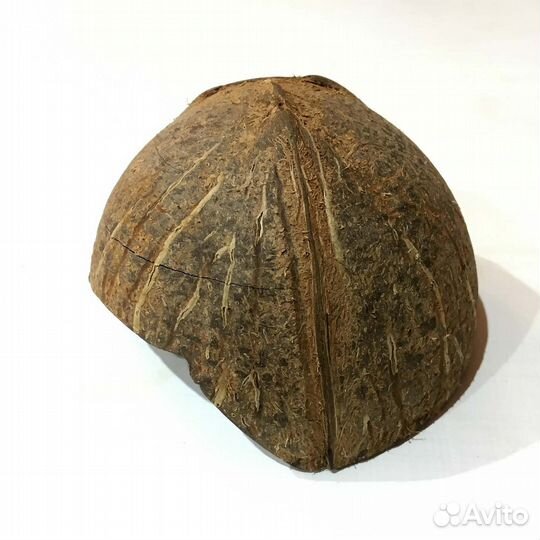 Укрытие для рептилий из кокоса