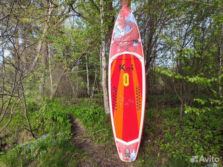 Сап борды новые