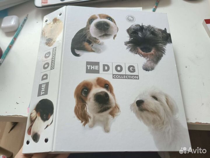 The dog collection