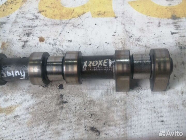 Распредвал выпуск Opel Astra G, X20XEV