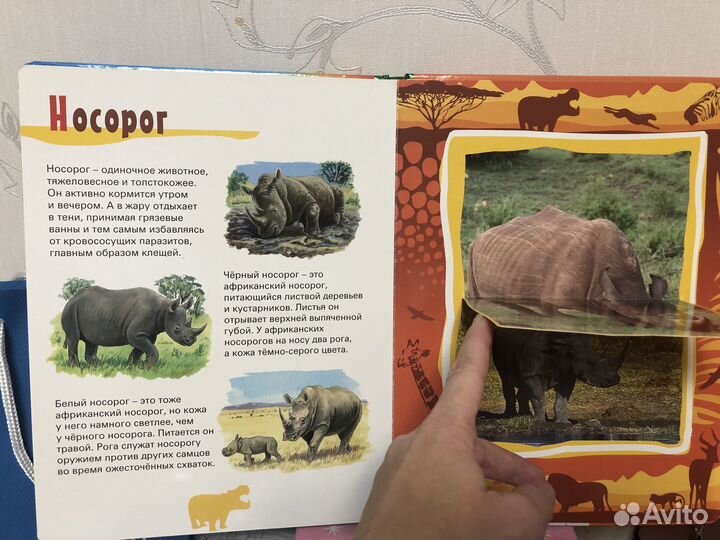 Энциклопедия с окошками