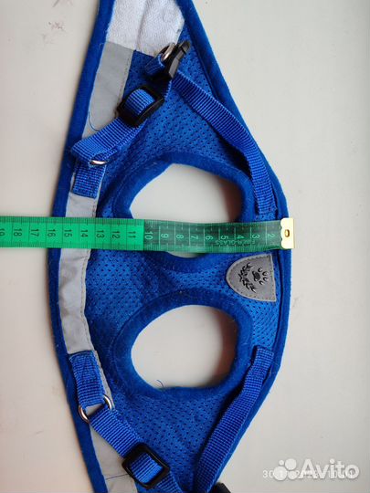 Шлейка с поводком и зимняя курточка для собаки