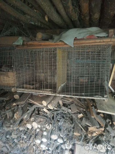 Клетка для цыплят