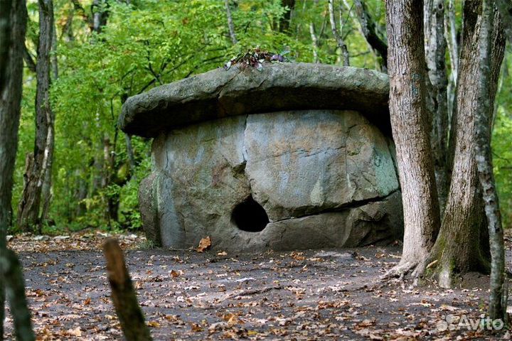 Конные прогулки