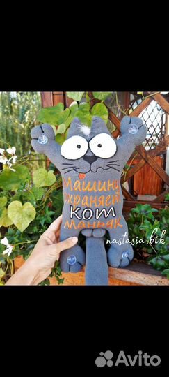 Кот в автомобиль