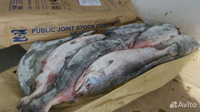 Горбуша неразделанная пласт 10 кг свежемороженая