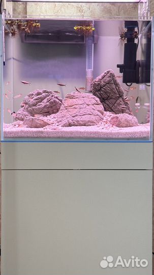 Аквариум optiwhite