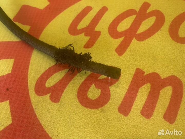 Блок управления двигателем Volkswagen Passat B3