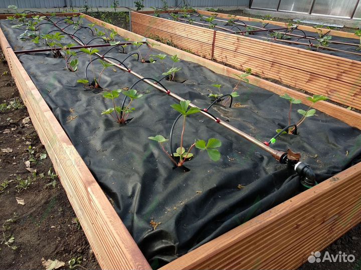 Геотекстиль 200