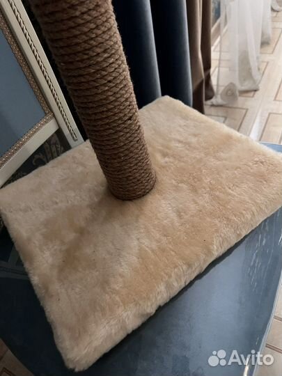 Когтеточка для кошек