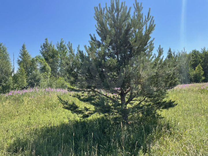 Участок 12 сот. (ИЖС)