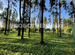 Фото объявления