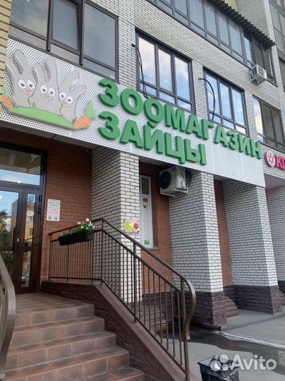 Продавец в зоомагазин