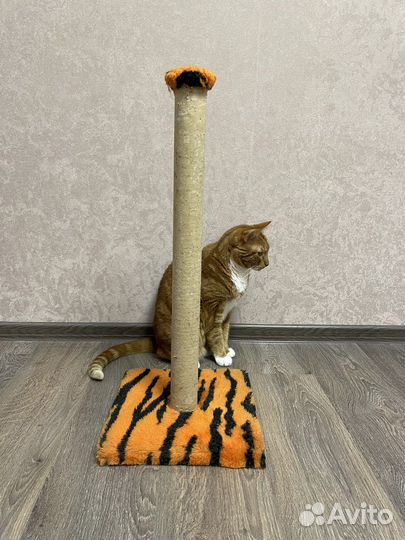 Когтеточка без намотки