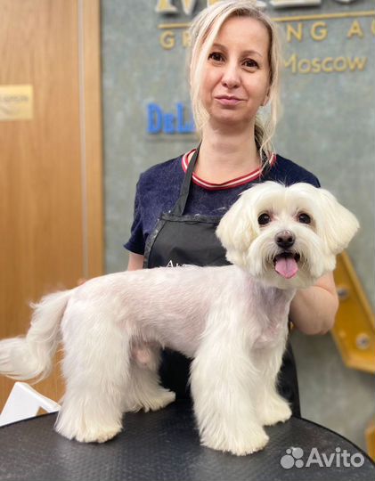 Грумер стрижка собак