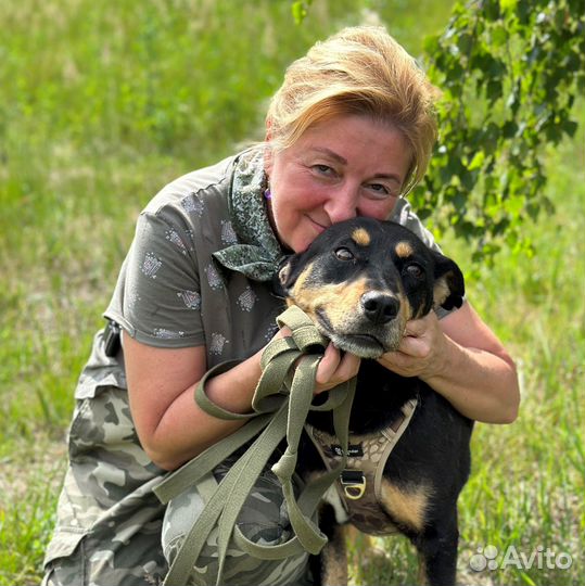 Милейший пёсик оказался в приюте