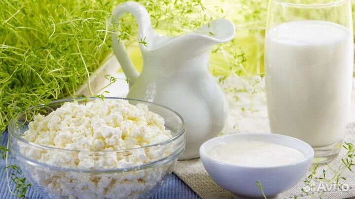 Молочные продукты