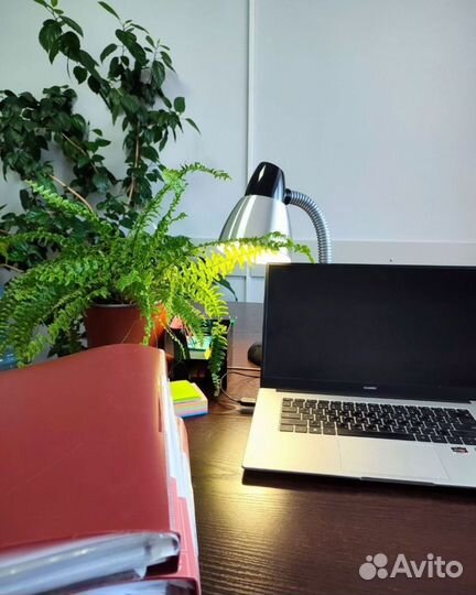 Юрист по судебным приставам